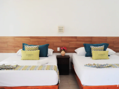 Apartment · For rent · Studio